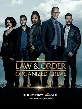 法律与秩序·组织犯罪第三季 第12集