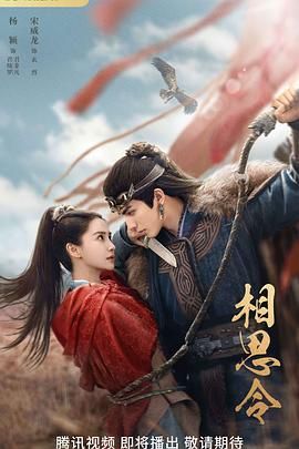 相思令 第11集